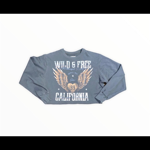Hollister Tops - Hollister crop top long sleeve